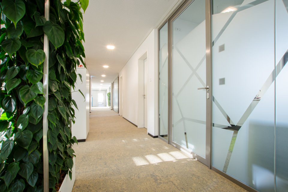 Raiffeisenbank Denzlingen Glastrennwand